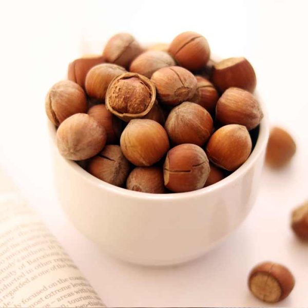 فندق با پوست خام ایرانی - Image 1