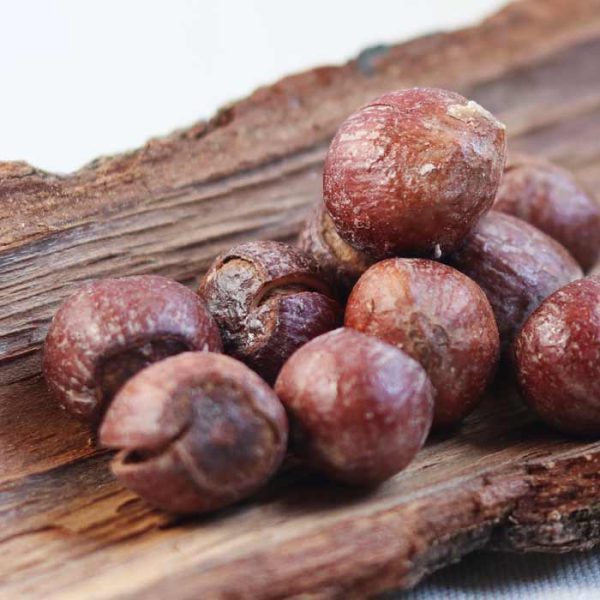 فندق با پوست نمکی ایرانی - Image 1