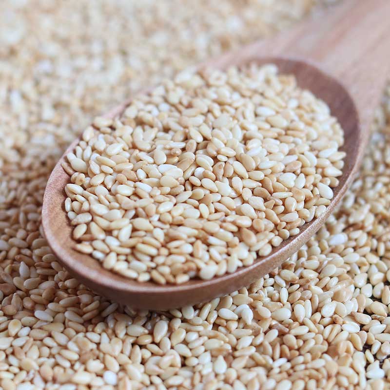 تصویر تخم کتان 