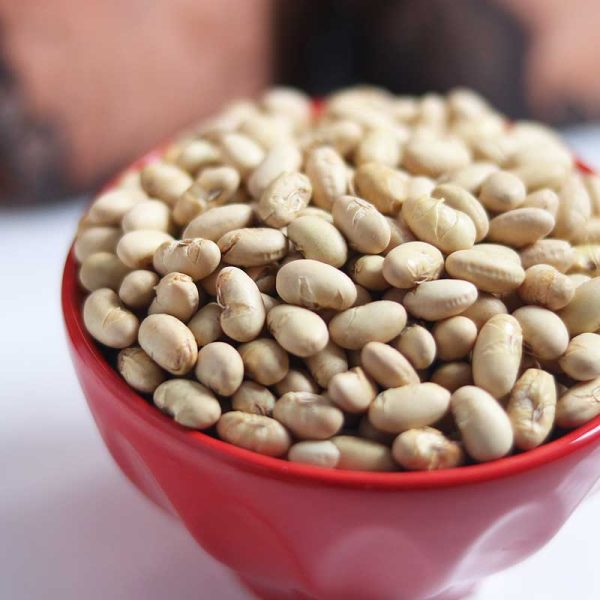 سویا ساده - Image 1