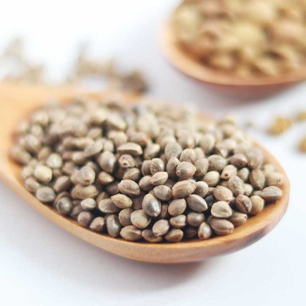 شاهدانه خام - Image 1