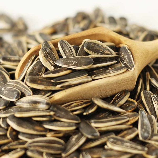 تخمه آفتابگردان دو رنگ خام - Image 1