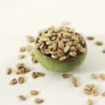 مغز آفتابگردان بو داده بی نمک