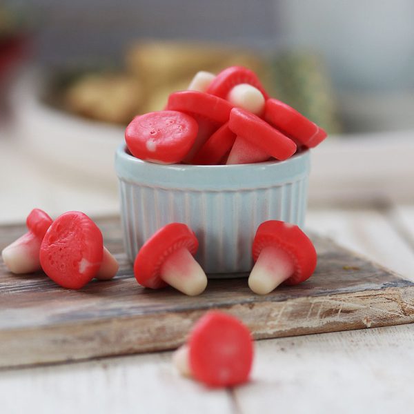 پاستیل قارچ - Image 1