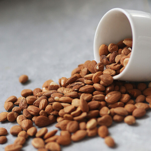 هسته زردآلو خام - Image 1